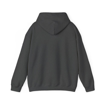 Swipe Right in Real Life Hoodie